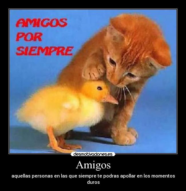 Amigos - aquellas personas en las que siempre te podras apollar en los momentos duros