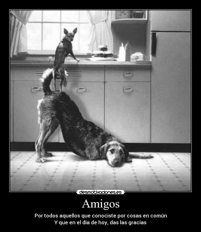 Amigos - 