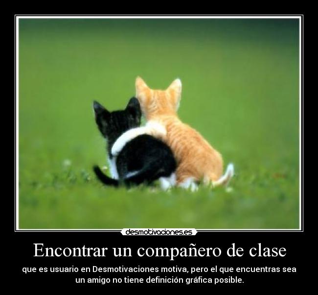 Encontrar un compañero de clase -