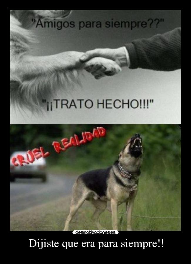 Dijiste que era para siempre!! - 