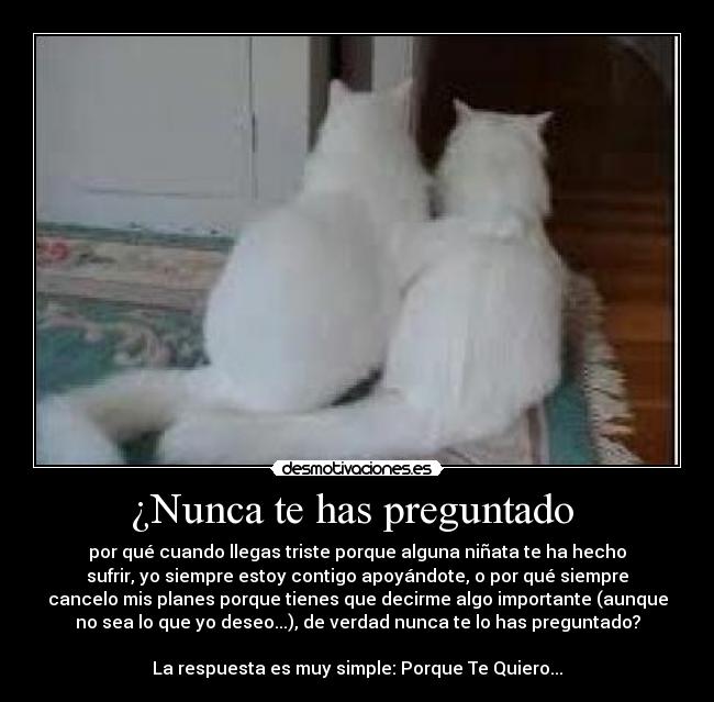 ¿Nunca te has preguntado  - por qué cuando llegas triste porque alguna niñata te ha hecho
sufrir, yo siempre estoy contigo apoyándote, o por qué siempre
cancelo mis planes porque tienes que decirme algo importante (aunque
no sea lo que yo deseo...), de verdad nunca te lo has preguntado?

La respuesta es muy simple: Porque Te Quiero...