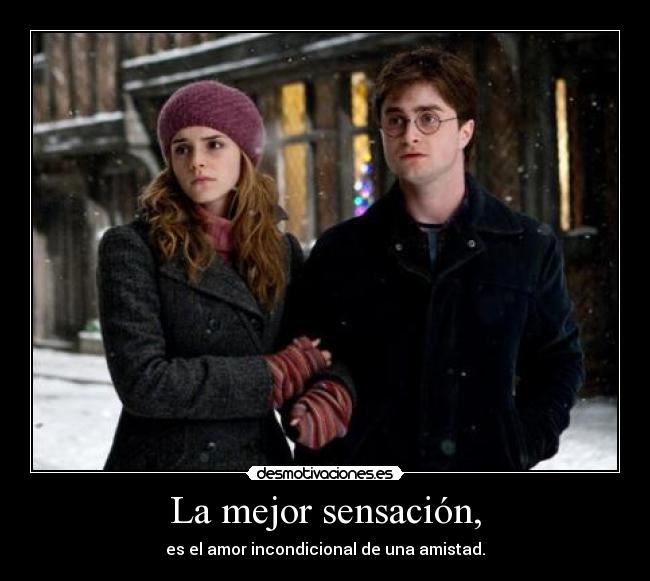 carteles mejor sensacion amor desmotivaciones