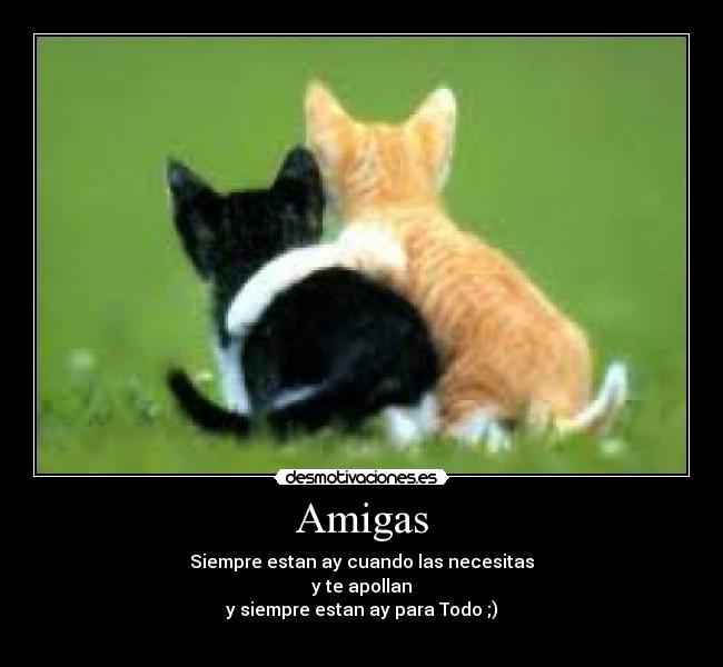 Amigas - Siempre estan ay cuando las necesitas
y te apollan
y siempre estan ay para Todo ;)