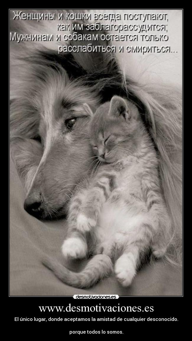 www.desmotivaciones.es - El único lugar, donde aceptamos la amistad de cualquier desconocido.

porque todos lo somos.
