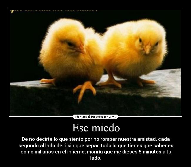 Ese miedo - De no decirte lo que siento por no romper nuestra amistad, cada
segundo al lado de ti sin que sepas todo lo que tienes que saber es
como mil años en el infierno, moriría que me dieses 5 minutos a tu
lado.