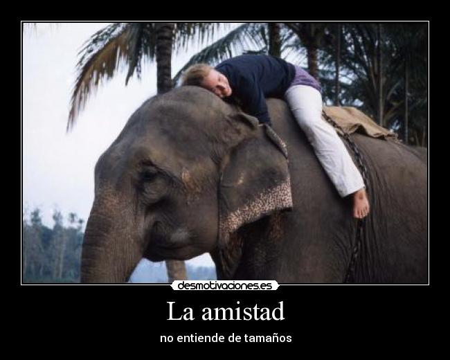 La amistad - 