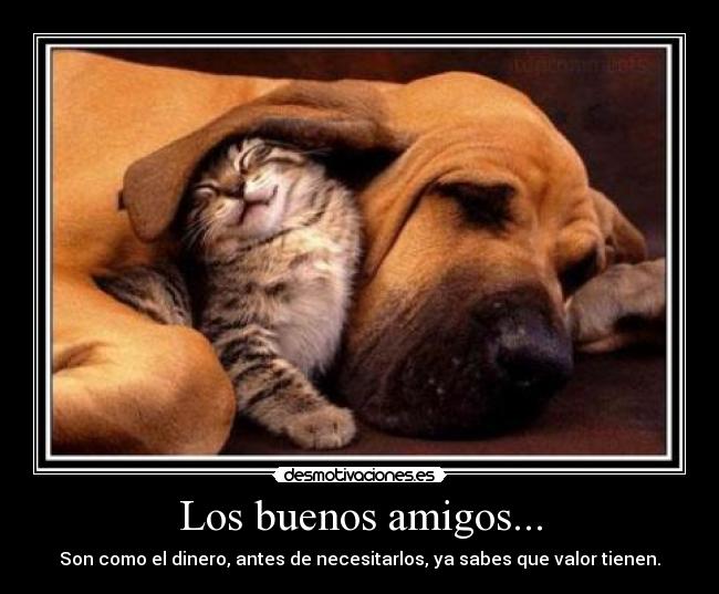Los buenos amigos... - Son como el dinero, antes de necesitarlos, ya sabes que valor tienen.