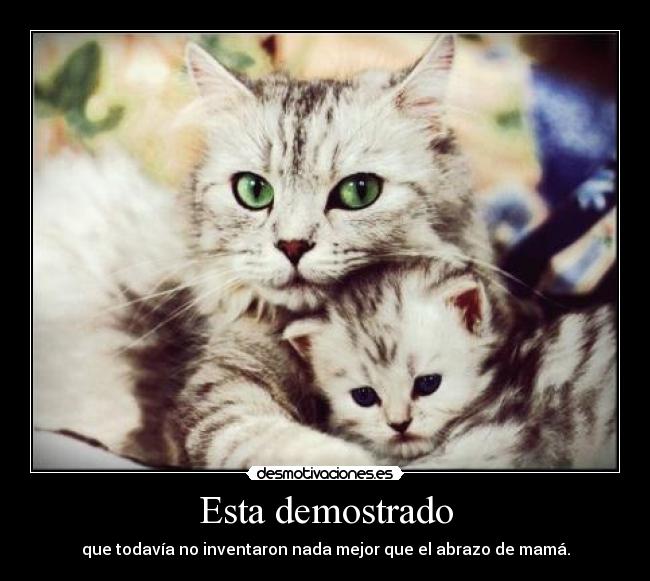 Esta demostrado - que todavía no inventaron nada mejor que el abrazo de mamá.