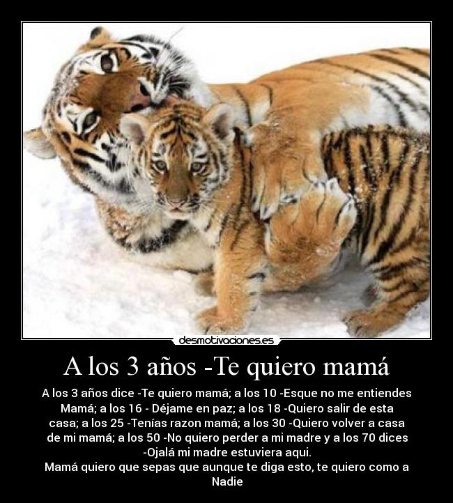 A los 3 años -Te quiero mamá - A los 3 años dice -Te quiero mamá; a los 10 -Esque no me entiendes
Mamá; a los 16 - Déjame en paz; a los 18 -Quiero salir de esta
casa; a los 25 -Tenías razon mamá; a los 30 -Quiero volver a casa
de mi mamá; a los 50 -No quiero perder a mi madre y a los 70 dices
-Ojalá mi madre estuviera aqui.
Mamá quiero que sepas que aunque te diga esto, te quiero como a
Nadie