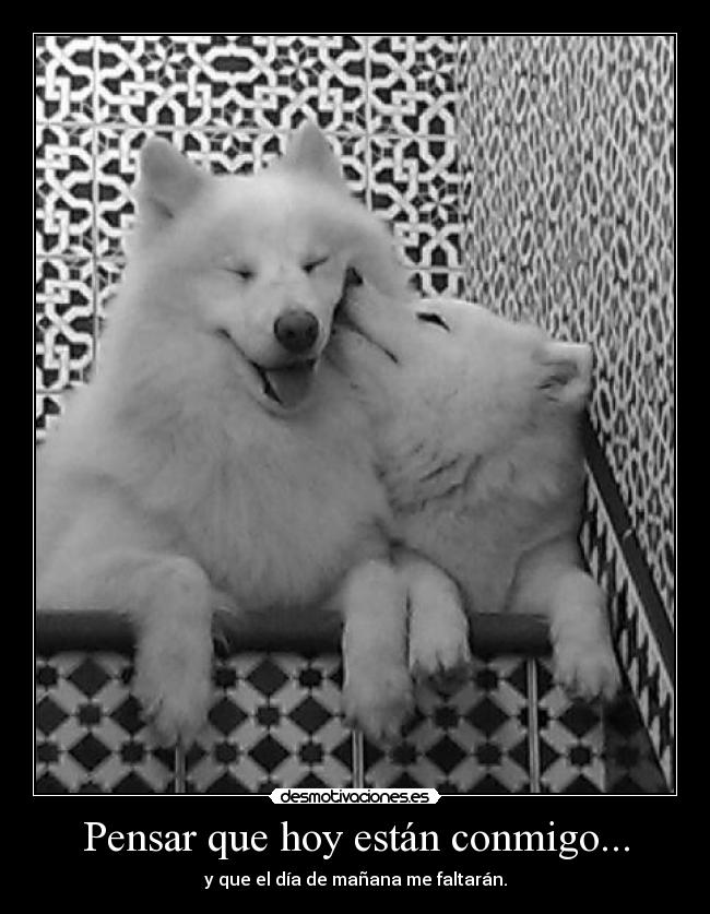 Pensar que hoy están conmigo... -