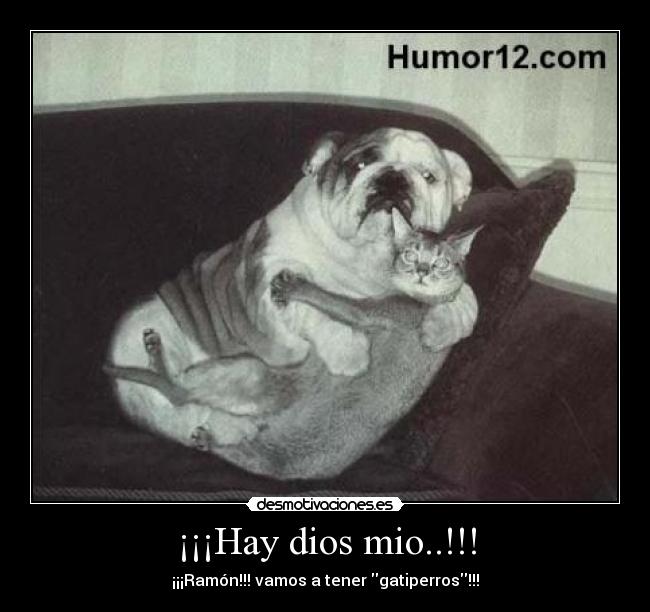 ¡¡¡Hay dios mio..!!! - 