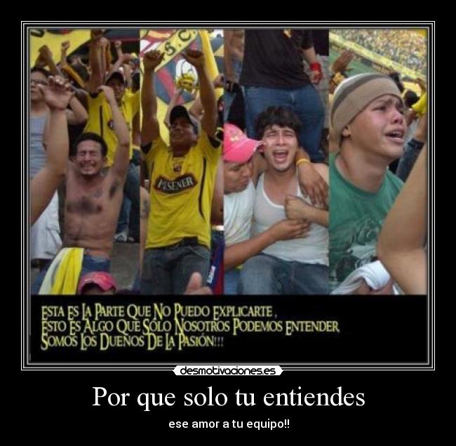 Por que solo tu entiendes - 