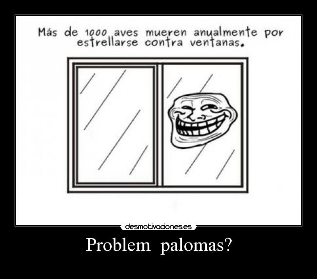 Problem palomas? -