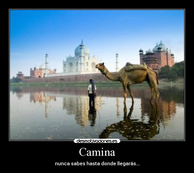 Camina - nunca sabes hasta donde llegarás...