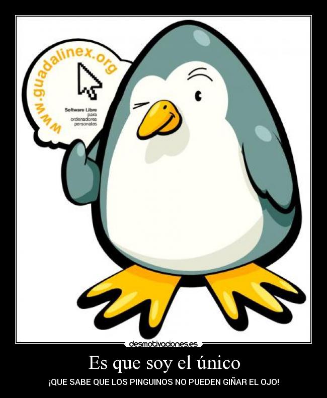 Es que soy el único -