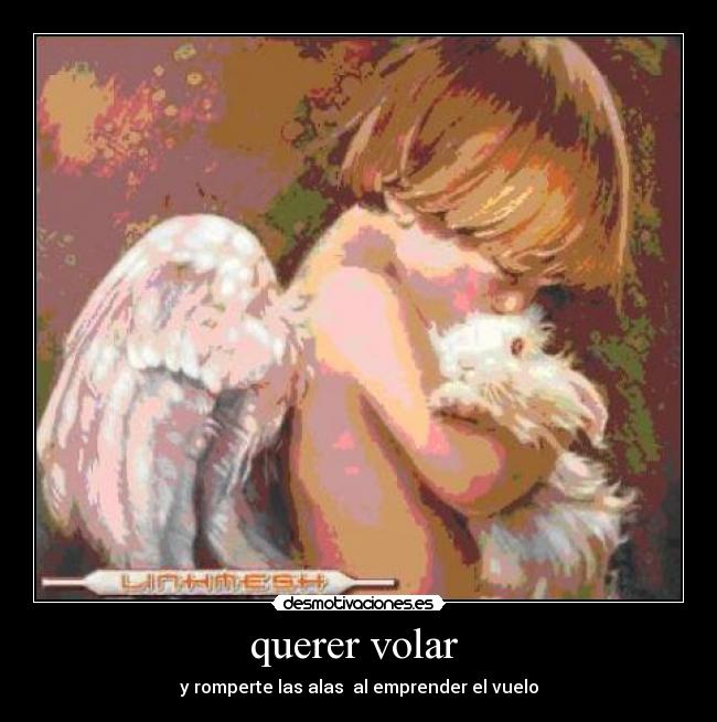 querer volar  - y romperte las alas  al emprender el vuelo