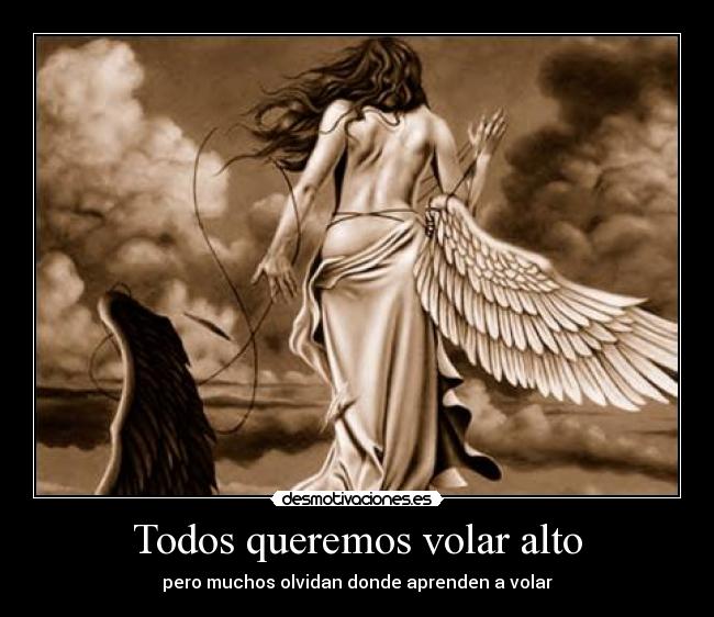 Todos queremos volar alto - pero muchos olvidan donde aprenden a volar