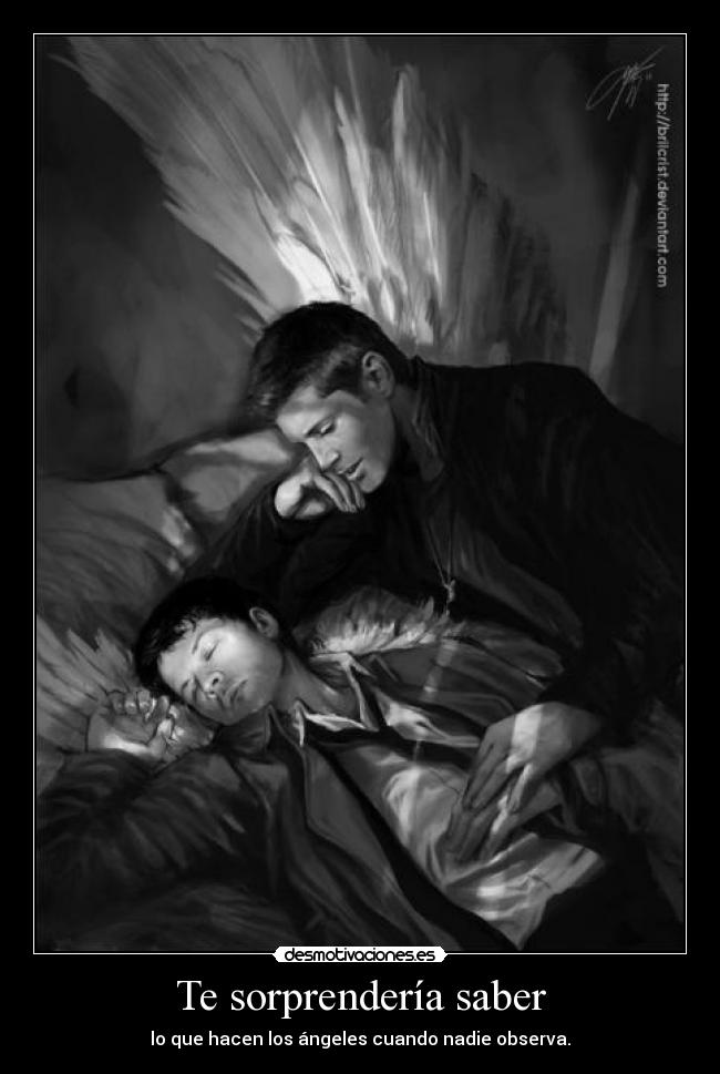 Te sorprendería saber -