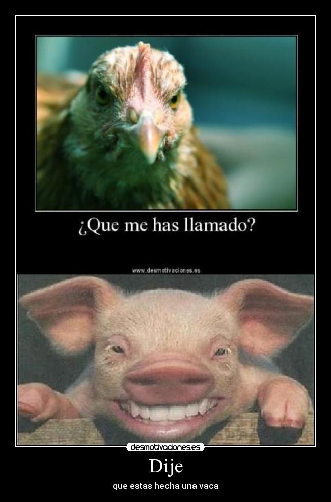 carteles toro gay desmotivaciones