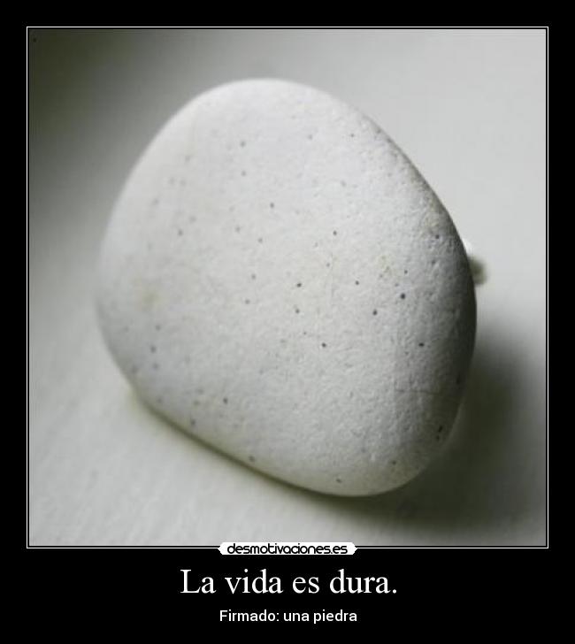 La vida es dura. - Firmado: una piedra