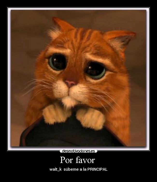Por favor -