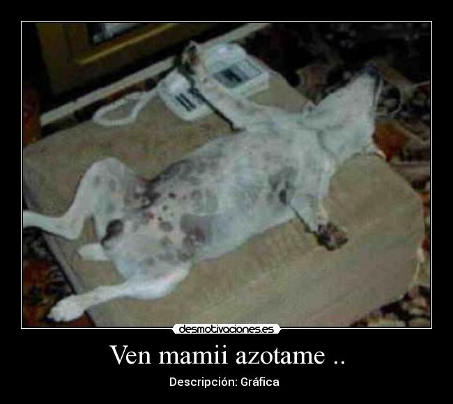 Ven mamii azotame .. - Descripción: Gráfica  