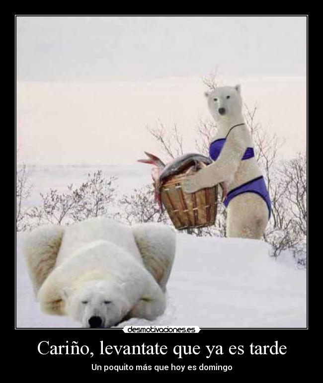 Cariño, levantate que ya es tarde - Un poquito más que hoy es domingo