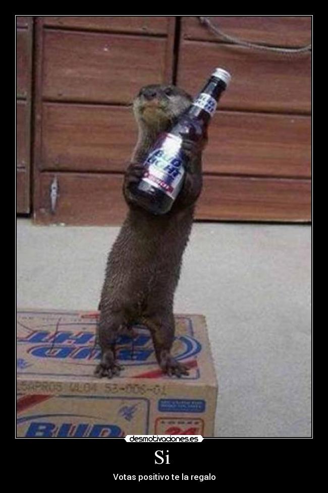 Si - Votas positivo te la regalo