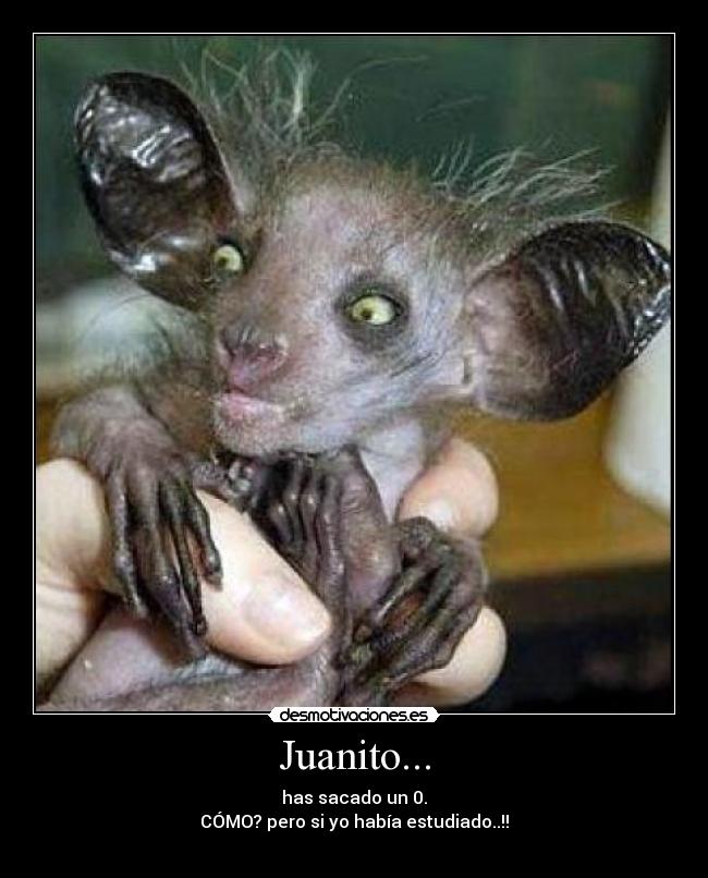 Juanito... - has sacado un 0.
CÓMO? pero si yo había estudiado..!!