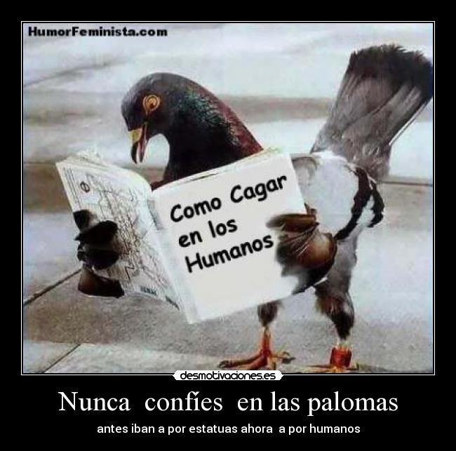 Nunca  confíes  en las palomas - 