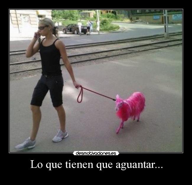 Lo que tienen que aguantar... -