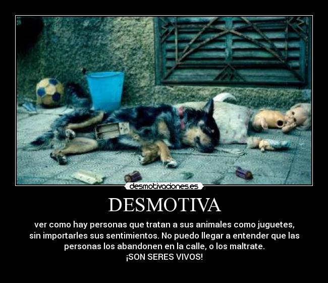 DESMOTIVA - ver como hay personas que tratan a sus animales como juguetes,
sin importarles sus sentimientos. No puedo llegar a entender que las
personas los abandonen en la calle, o los maltrate.
¡SON SERES VIVOS!
