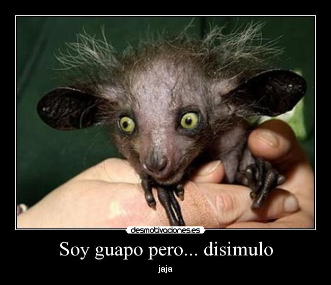 carteles jejeje desmotivaciones