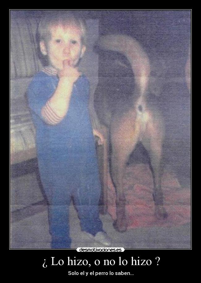 ¿ Lo hizo, o no lo hizo ? - Solo el y el perro lo saben...