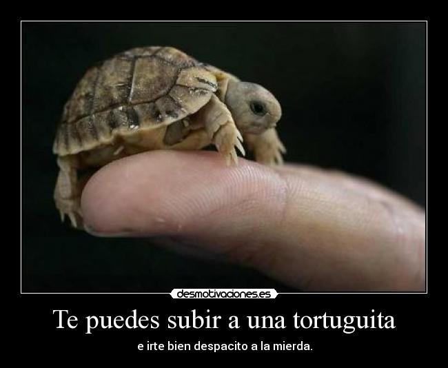 Te puedes subir a una tortuguita - e irte bien despacito a la mierda.