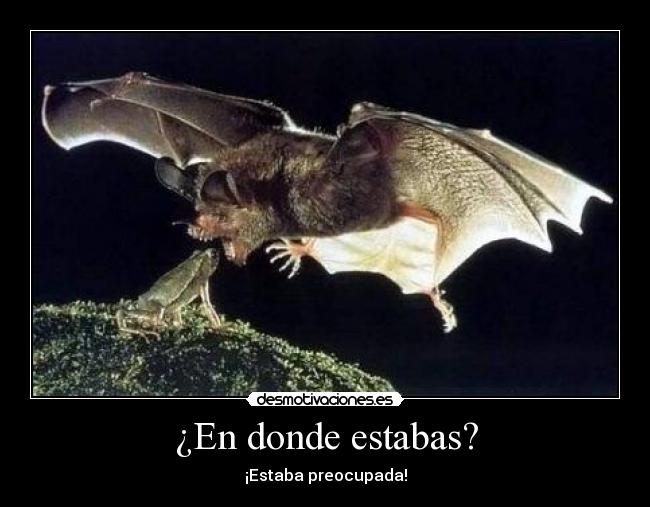 ¿En donde estabas? - 