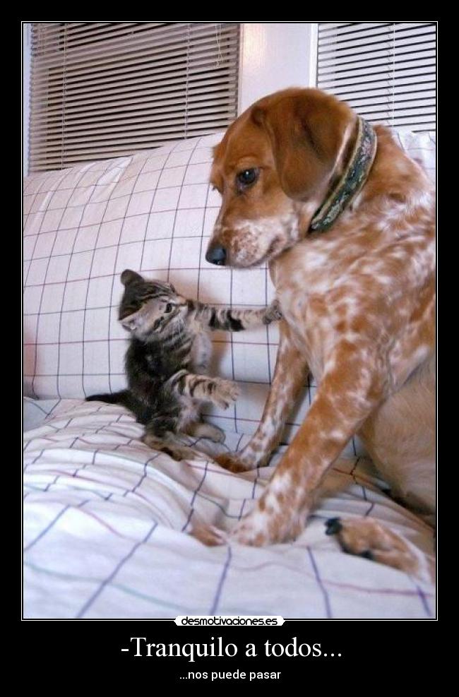 -Tranquilo a todos... -