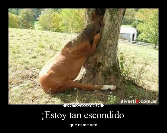 ¡Estoy tan escondido  - 