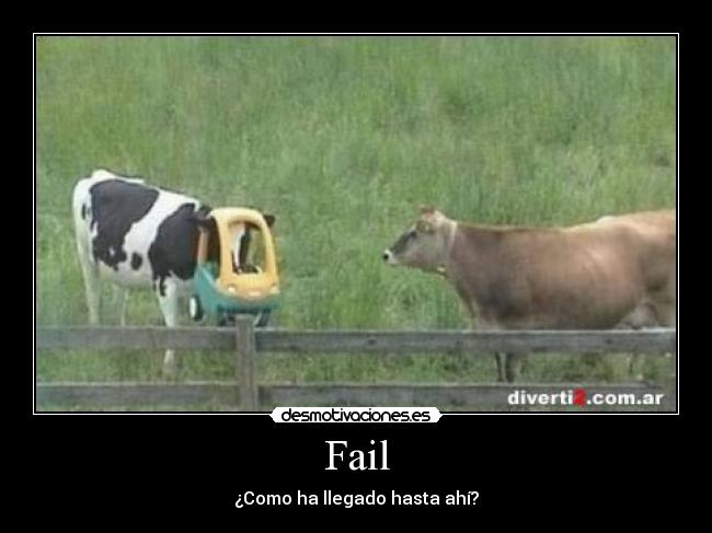 Fail - ¿Como ha llegado hasta ahí?