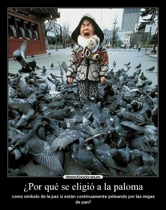 ¿Por qué se eligió a la paloma - como símbolo de la paz si están continuamente peleando por las migas de pan?