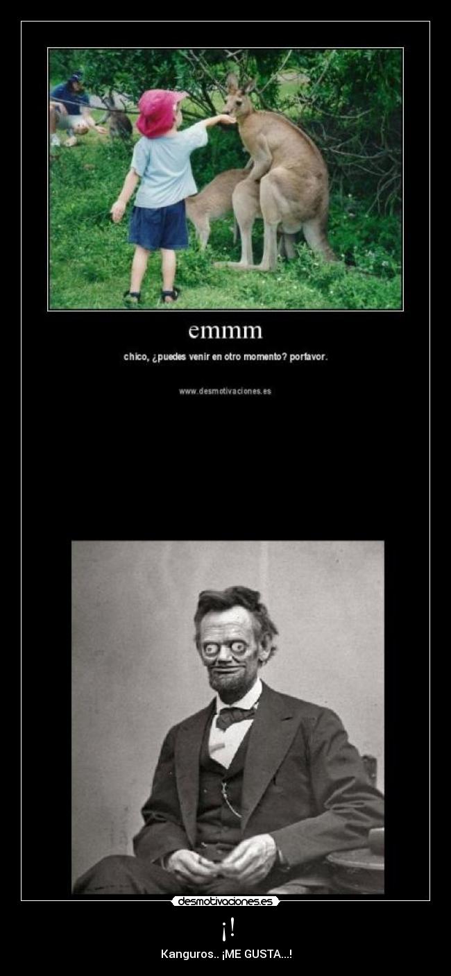 carteles kanguros follando desmotivaciones