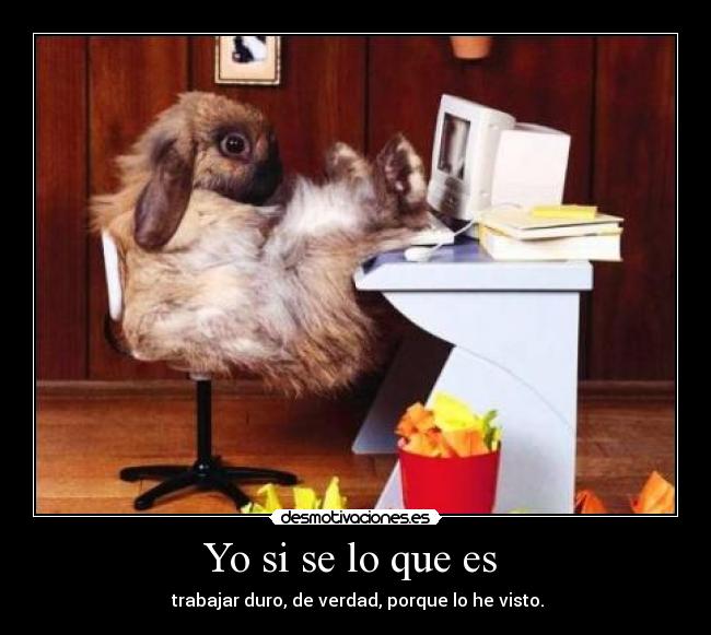 Yo si se lo que es -