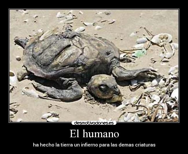 El humano - ha hecho la tierra un infierno para las demas criaturas