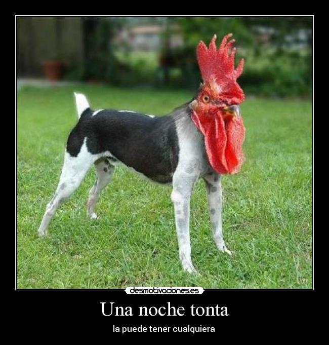 Una noche tonta - la puede tener cualquiera