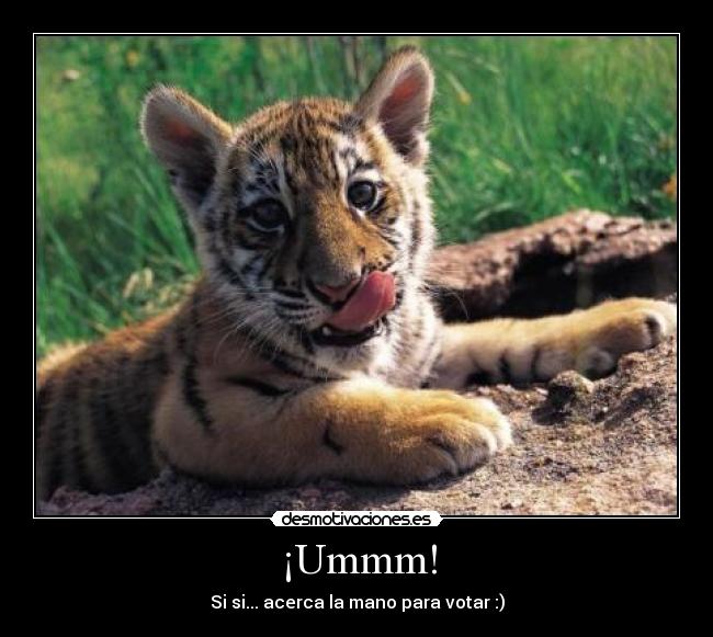 ¡Ummm! - Si si... acerca la mano para votar :)