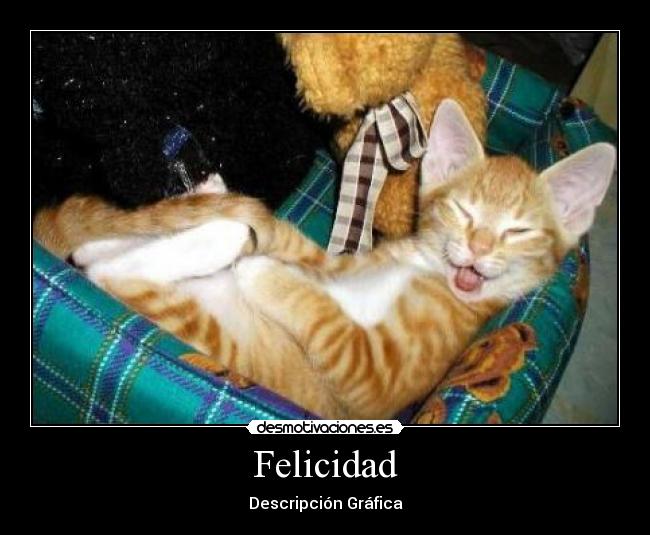 Felicidad - Descripción Gráfica