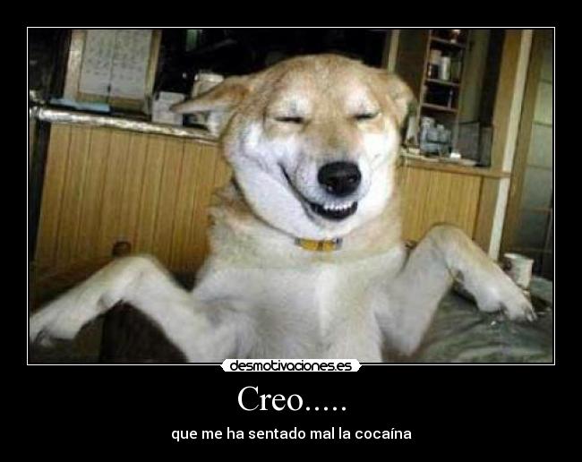 Creo..... - que me ha sentado mal la cocaína
