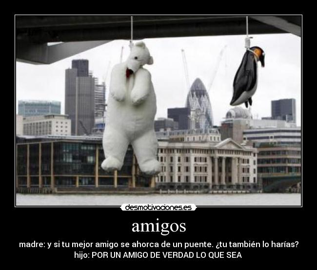 amigos - 