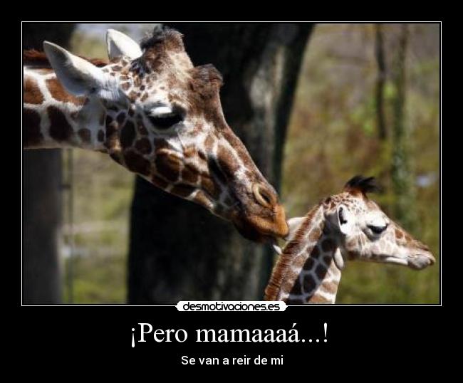 ¡Pero mamaaaá...!  - Se van a reir de mi
