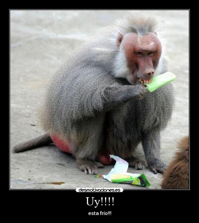 Uy!!!! - esta frío!!!